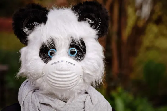 West Kaszinó Támogatás